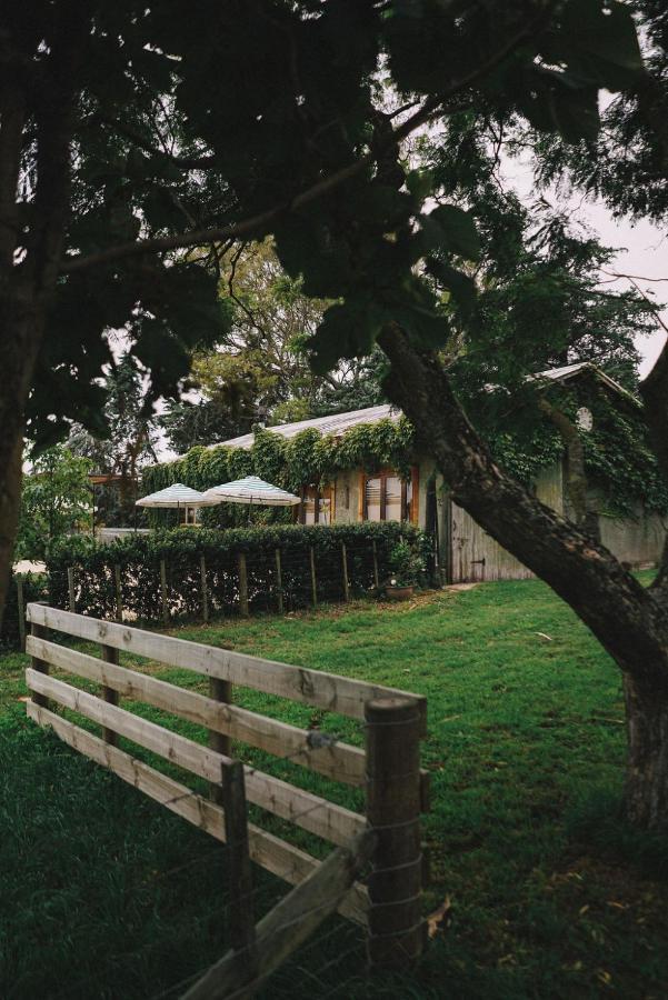 Converted Barn - Tiger House Hermitage แฮฟล็อค นอร์ท ภายนอก รูปภาพ
