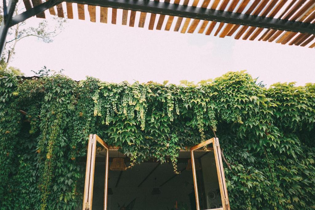 Converted Barn - Tiger House Hermitage แฮฟล็อค นอร์ท ภายนอก รูปภาพ