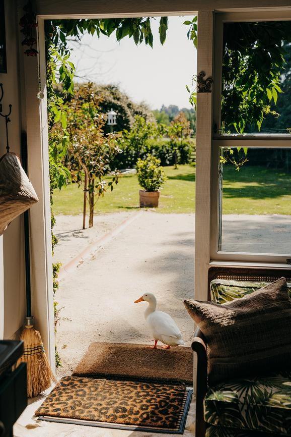 Converted Barn - Tiger House Hermitage แฮฟล็อค นอร์ท ภายนอก รูปภาพ